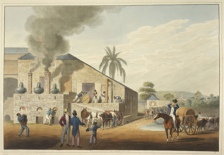 Curing-house and stills in Antigua, 1823. Creator: William Clark.