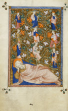 The Tree of Jesse, 1310-1320. Creator: Unknown.