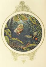 Then straight he flew like a valiant knight, 1870.  Creator: A. F. L..