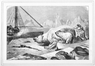 Shooting polar bears, 1880.  Creator: Unknown.