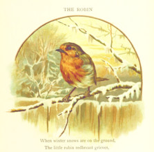 The Robin, 1893. Creator: Jessie Hall.