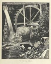 The Old Mill Stream, 1879.  Creator: Unknown.