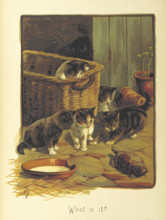 What is it?, 1893.  Creator: Fannie Moody.