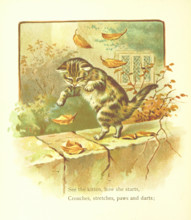 See the kitten, how she starts, Crouches, stretches, paws and darts, 1893.  Creator: Jessie Hall.