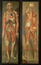 Two anatomical figures, 1764/1765.. Creator: Jacques Fabien Gautier Dagoty.