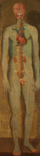A standing dissected man showing the viscera and blood vessels, with a separate figure of the... Creator: Jacques Fabian Gautier Dagoty.