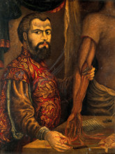 Andreas Vesalius. After a woodcut, c1550. Creator: Unknown.