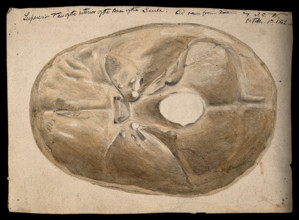 Interior of the base of the human skull, 1854/03/16. Creator: J.C. Whishaw.