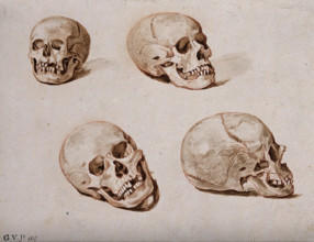 Four sketches of skulls, 1817. Creator: Unknown.