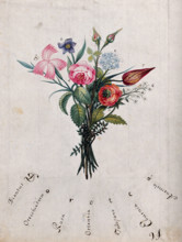 A bunch of flowers, the initial letters of which are shown to spell "Dorotea", c1890s.. Creator: Unknown.