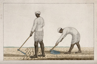 Two men digging the earth with spades, (between 1800 and 1899?). Creator: Unknown.