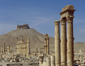 Great Colonnade, Palmyra (Oasis Tadmor), Syria, 3rd century, (2001). Creator: LTL.