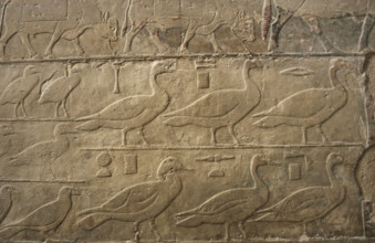 Relief showing ducks and birds, Mastaba of Ti, Egypt, 5th Dynasty, Old Kingdom, c2400 BC (2003). Creator: Unknown.