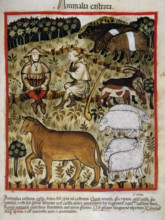 Shepherds and cattle, 14th century.  Creator: Unknown.