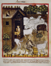 Sweet milk, 14th century.  Creator: Unknown.