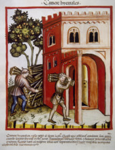 Winter rooms, 14th century.  Creator: Unknown.