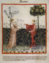 Anise,14th century.  Creator: Unknown.