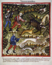 Boar hunting, 14th century.  Creator: Unknown.