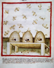Honey, 14th century.  Creator: Unknown.