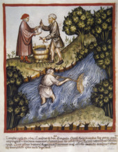 Lampreys, 14th century.  Creator: Unknown.