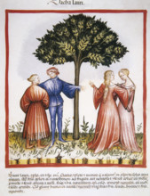 Laurel berries, 14th century.  Creator: Unknown.
