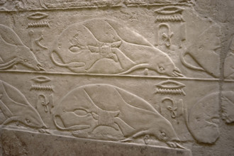 Tied cows relief, Mastaba of Kagemni, Saqqara, Egypt, Old Kingdom, 6th Dynasty, 2350 BC (2003). Creator: Unknown.