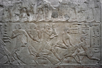 Relief depicting an ox slaughter, Mastaba of Mereruka, Saqqara, Egypt, Old Kingdom, 2003. Creator: Unknown.