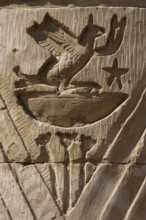 Bird relief, Temple of Kom Ombo, Egypt, Ptolemaic Dynasty, 2nd century BC (2003). Creator: Unknown.