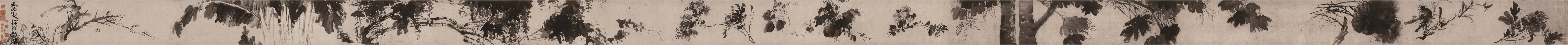 Miscellaneous Plants. Handscroll , Second half of the16th century. Creator: Xu Wei (1521-1593).