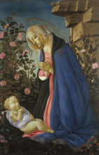 The Virgin Adoring the Sleeping Christ Child, c1485. Creator: Botticelli, Sandro (1445-1510).