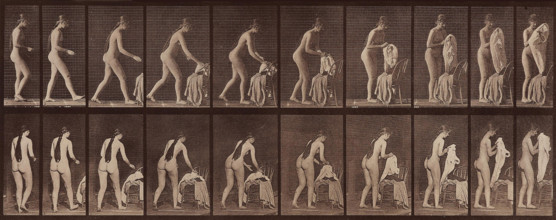 Animal Locomotion. Plate 415, 1887. Creator: Muybridge, Eadweard (1830-1904).