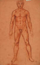 Standing male nude, 1503-1506. Creator: Leonardo da Vinci (1452-1519).