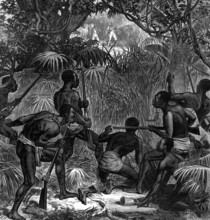 The War on the Gold Coast: Ashantees in ambush, 1874. Creator: Unknown.