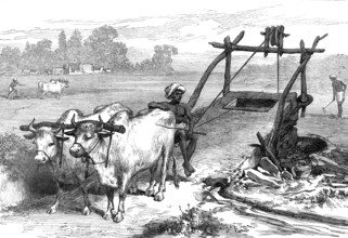 The Famine in Bengal: Indian mode of irrigation, 1874. Creator: Unknown.