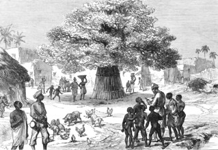 The Ashantee War: fetish tree in village near Cape Coast Castle...sketch by our special artist, 1874 Creator: Unknown.