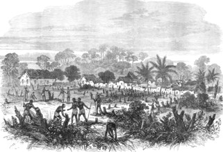 The Ashantee War: the battle-field of Abrakrampa - from a sketch by our special artist, 1874. Creator: Unknown.