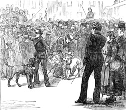 Metropolitan Boroughs election sketches: "Whig" and "Tory", 1874. Creator: Unknown.