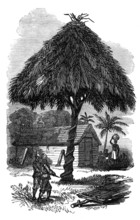 The Ashantee War: the camp whipping-post at Inquabim, 1874. Creator: Unknown.