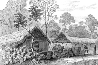 The Ashantee War: Barracoe - station on the road to Coomassie,...sketch by our special artist, 1874. Creator: Unknown.