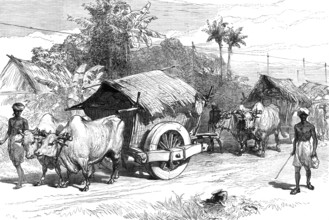 The Famine in Bengal: bullock hackeries for carrying grain, 1874. Creator: Unknown.