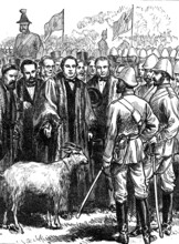Return of troops from the Ashantee War: presenting a goat to the 23rd (Royal Welsh) Fusiliers, 1874. Creator: Unknown.