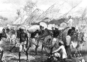 The Famine in Bengal: loading grain-carts near Calcutta, 1874. Creator: Unknown.