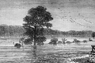 Inundations in the United States: Cumberland River, from the railroad bridge, 1874. Creator: Unknown.