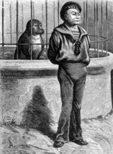 Odd Sketches at the Zoological Gardens: Messmates, 1881. Creator: Unknown.