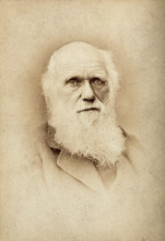 Charles Robert Darwin. Creator: Barraud.