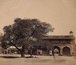 India: a tree in the grounds of a palace under which three hundred Europeans were murdered, c1858. Creator: Felice Beato.