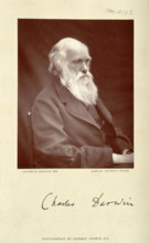 Charles Robert Darwin. Creator: Leonard Darwin.