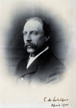 Sir Edward Albert Sharpey-Schafer, 1900. Creator: Unknown.