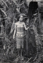 Sarawak: a girl picking leaves for use as fibres, c1900. Creator: Unknown.