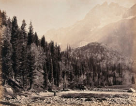 Kashmir: a mountain valley and forest, between 1800 and 1899. Creator: Samuel Bourne.